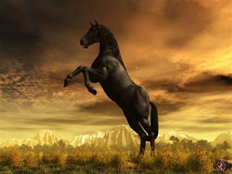Free Download Pictures Winged Horse 3d Wallpapers Desktop Change