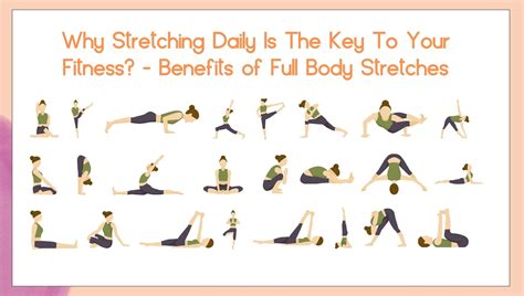 Why Stretching Daily Is The Key To Your Fitness Benefits Of Full Body