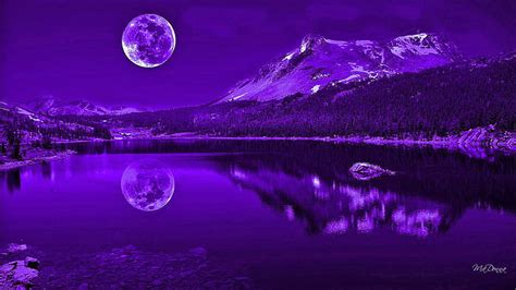 Purple Nights Reflexión Reflexión Luna Llena Misteriosa Lago