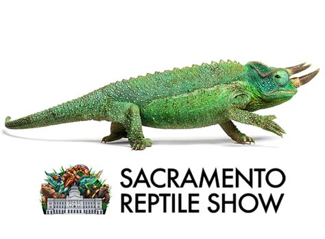 Cal Expo Reptile Show 2024 - Reeva Emmalynne