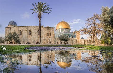 المسجد الاقصى أولى القبلتين وثالث الحرمين الذي لا تشد الرحال الا اليه، ويقع المسجد الاقصى في فلسطين فوق هضبة تسمى موريا ويعتبر تاريخ بناء المسجد الاقصى غير معروف بالتحديد ولكن ما ورد من أحاديث النبي تؤكد انه بني بعد المسجد الحرام بأربعين سنة. اجمل الصور للمسجد الاقصى , صور لى اجمل المساجد فى العالم ...