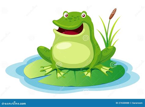 Green Frog On A Leaf Pond Stock Vector Illustration Of Closeup 27650088