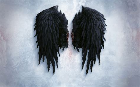 47 Angel Wing Wallpapers