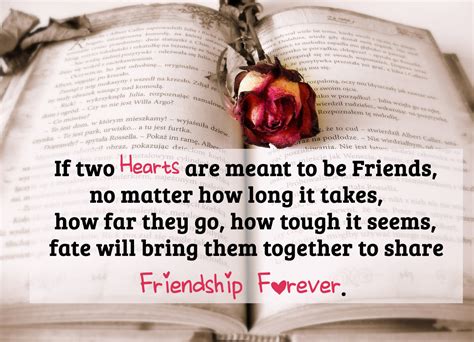 They knew as soon as they met that they were meant to be together. 27 Beautiful Friendship Quotes you would love to share