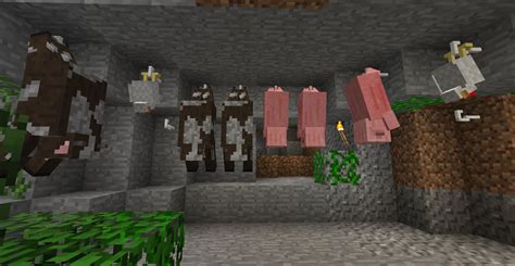I've been playing on a survival server and using a cactus farm to make they have a similar method of growth that the cacti have, the only addition being the water they need near them. Meat Hooks (Butcher) Mod - 9Minecraft.Net