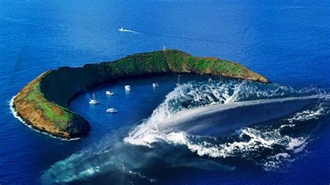 10 Most Dangerous Islands You Dont Want To Visit Around The Worlds