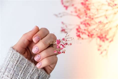 Woman Hands With Beautiful Nude Manicure Holding Delicate Pink