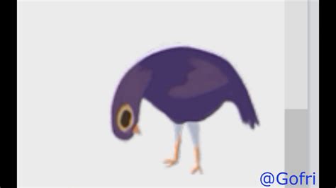 Trash Doves Facebook Purple Pigeon Youtube