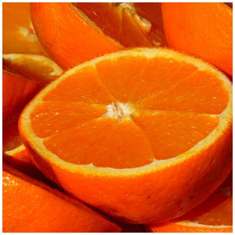 Sweet Orange Essential Oil Benefits Organic Palace Queen