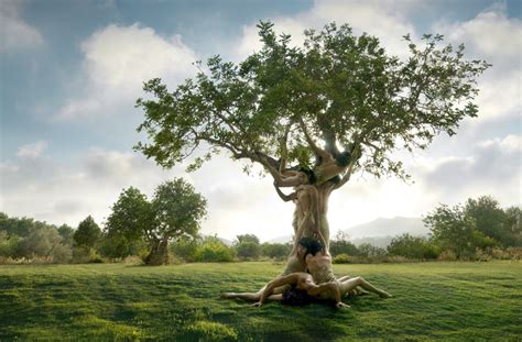 Powtoon is a free tool that allows… Hoy celebramos el Día Mundial del Árbol - Campeche HOY