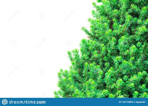 Christmas decorations without a tree. Christmas Tree Isolated On A White Background Without Any ...