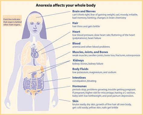 Anorexia Nervosa Everybody Behavioral Health