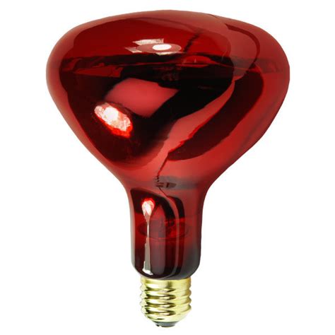 R40 - IR Heat Lamp - 175 Watt - Red - PLT 80508