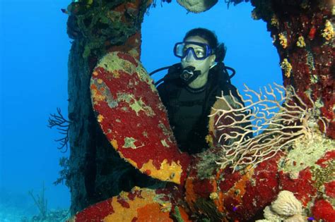Nassau Scuba Diving Reef Bahamas Cruise Excursions