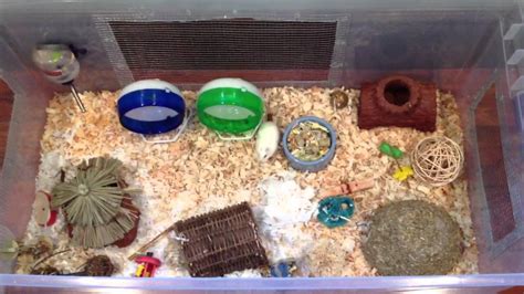 Maybe you would like to learn more about one of these? Hamster Bin Cage - YouTube
