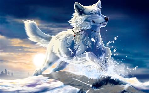 White wolf anime black wolf. Cool Anime Wolf Wallpapers - WallpaperSafari
