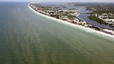 Heres The Aerial View As Red Tide Blooms Off Pinellas County Right Now