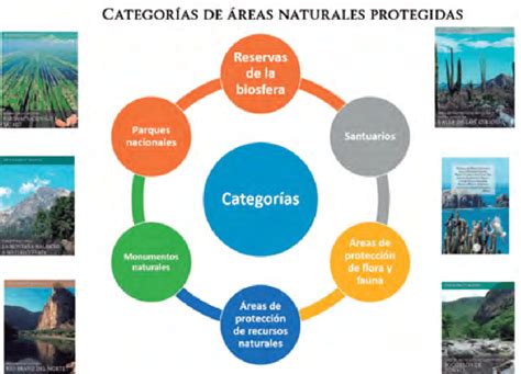 Categorías De Áreas Naturales Protegidas Fuente Comisión Nacional De