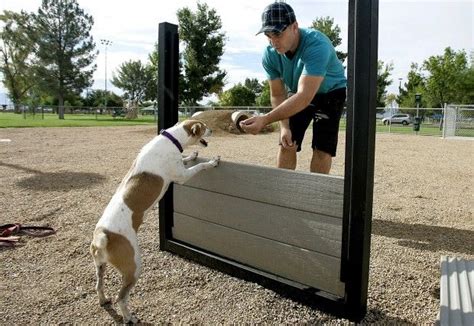 Maybe you would like to learn more about one of these? Features at the dog park in Marana, AZ | Dog park, Dogs ...