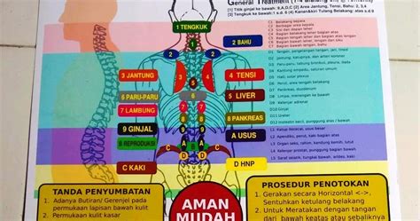 Ruqyah Syar Iyyah Palembang Gambar Titik Terapi Totok Punggung Untuk