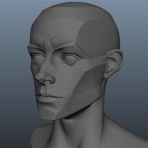 Planes Of The Head Male 3d Print Model Planes Of The Face Fine