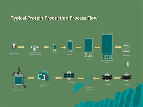 Downstream Processing In Biopharmaceuticals