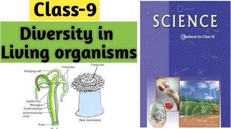 Diversity In Living Organisms Class 9 Part 1 YouTube