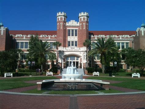 a bear s life in the fast lane florida state university