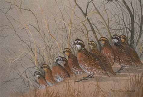 Robert Quill Johnson Quail 1907 Texas Art Vintage Texas