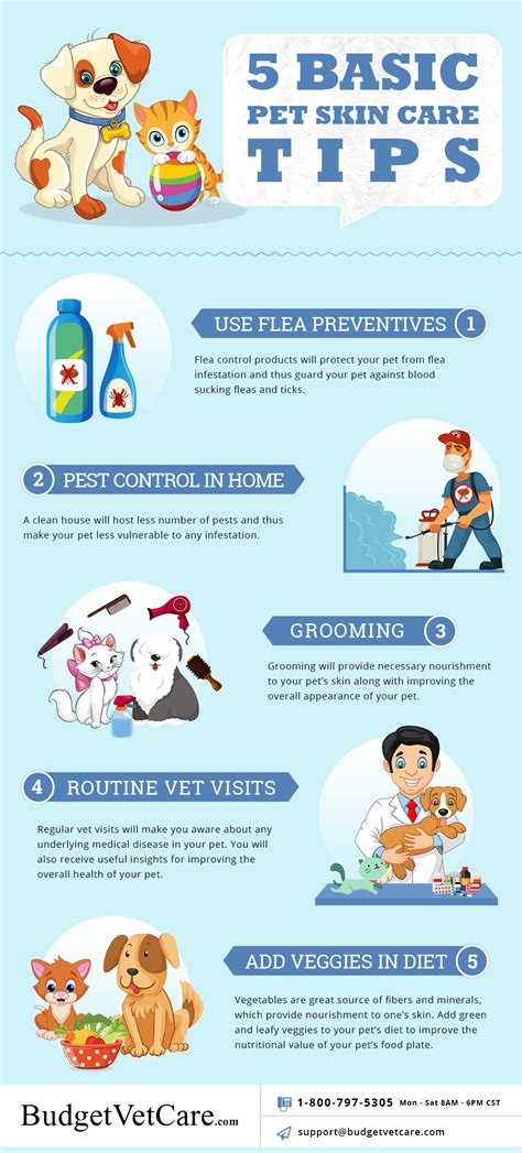 Pet Skin Care Tips Basic Way To Keep Your Pet Healthy And Happy