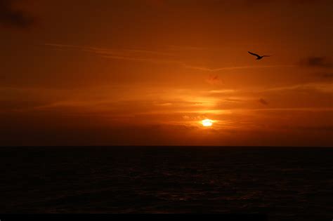 Free Images Sea Ocean Horizon Sun Sunrise Sunset Sunlight