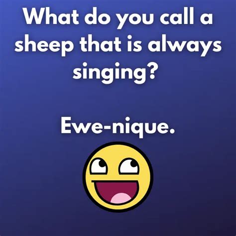 70 Sheep Jokes Puns And One Liners To Crack You Up 😀