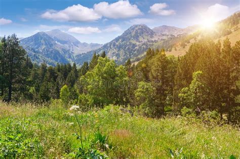 Picturesque Mountain Landscape Stock Photo Image Of Majestic Grass