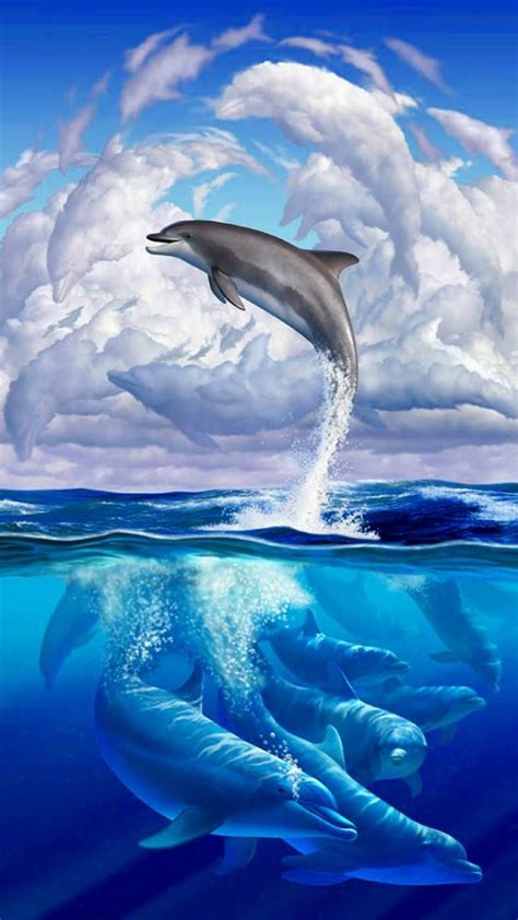 The Highest Quality Dolphins Backgrounds For You Iphone Cool