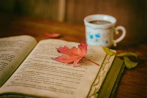 Free Images Book Coffee Flower Reading Cup Color Still Life