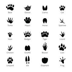 The difference between cat & dog prints the way to tell the difference between cat & dog paw prints is that dogs have nails (meaning they do not retract).cats have claws that retract. cat paw print vs dog paw print - Google Search ...