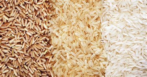 Basmati Rice Bhandari Basmati Rice In Pakistan