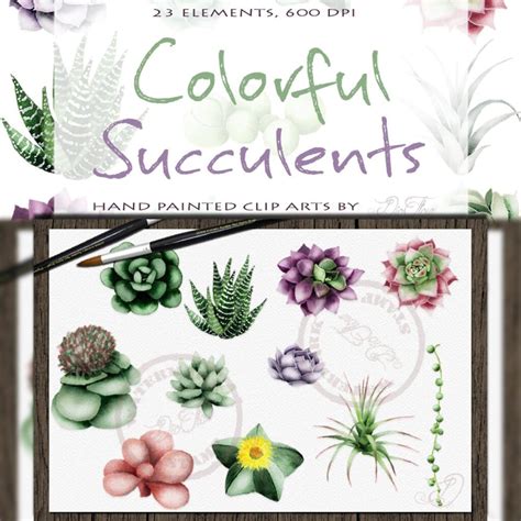 Succulent Watercolor Clipart Master Bundles
