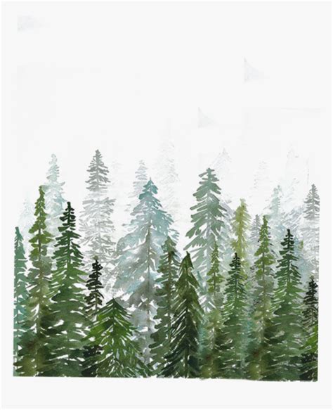 лес Watercolor Pine Tree Forest Hd Png Download Árvores De