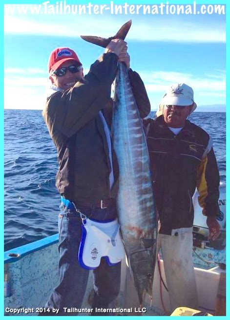La Paz Las Arenas Fishing Report From Tailhunter International For