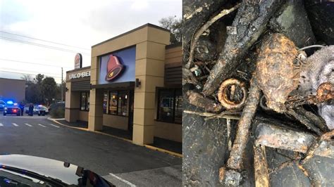 florida man finds wwii era grenade brings it to taco bell forcing evacuation