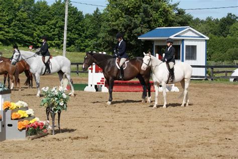 Horseback Riding Lessons Summer Camps Equestrian Riding School Training