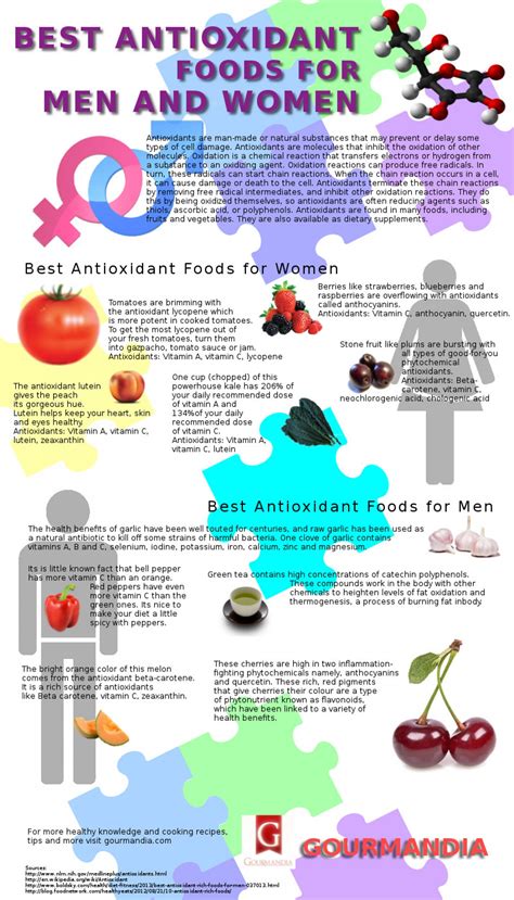 top anti oxidant rich foods infographic