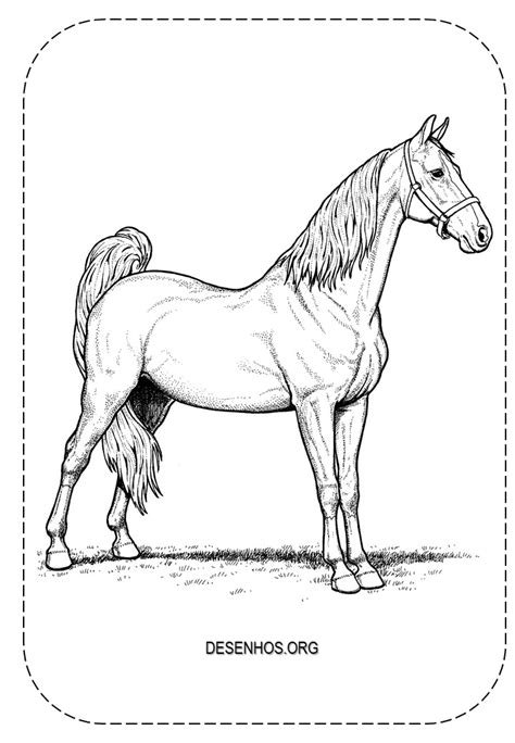 Introduzir Imagem Desenhos Realistas De Cavalos Br Thptnganamst Edu Vn