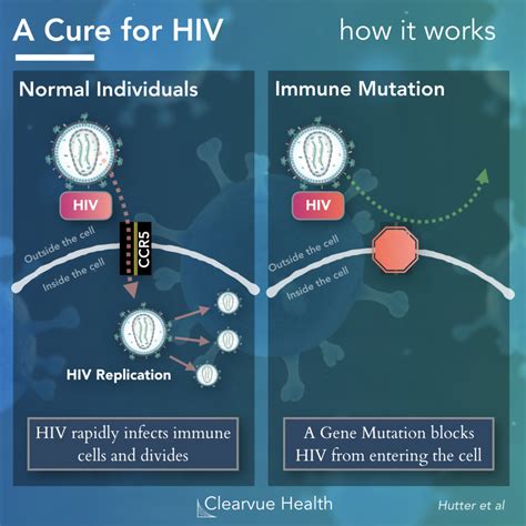 ELI5 How The HIV Stem Cell Cure Works Health Visualized