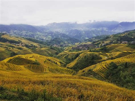 Why You Must Go To The Longji Rice Terraces When You Visit Guilin