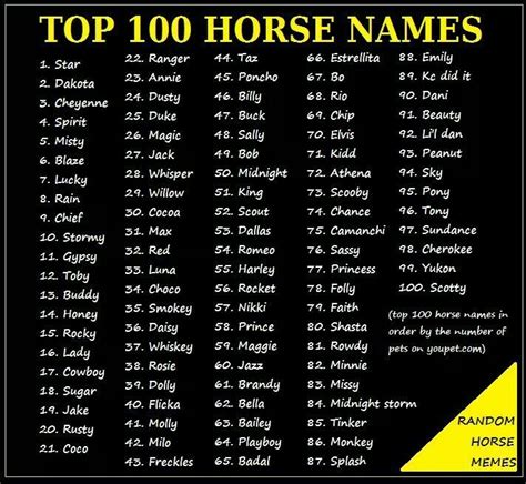 Horse Names Horse Names Unique Horse Show Names