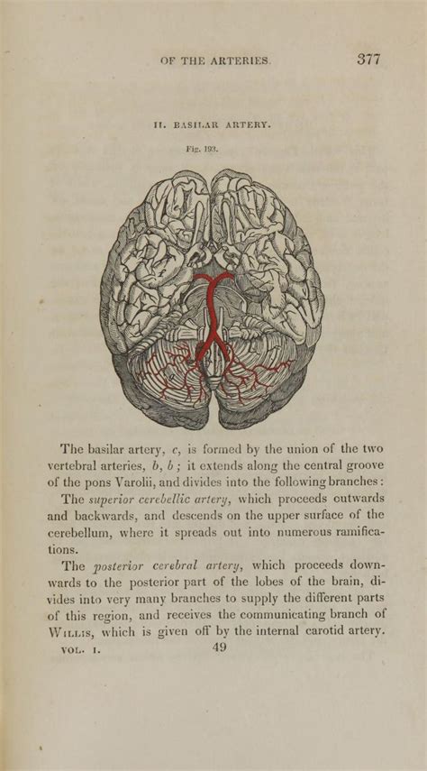 An Old Book With A Diagram Of The Human Brain In Its Center Section