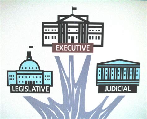 Quotes about Branches Of Government (52 quotes)