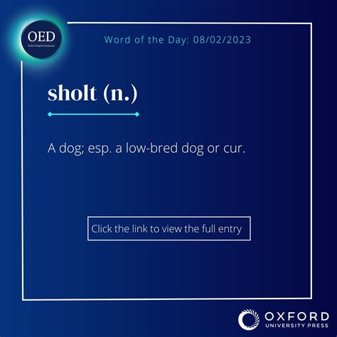 Pin By Rondi Sue On Just Words In 2023 Word Of The Day Words Oxford
